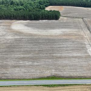 DJI_20250604111657_0354_D