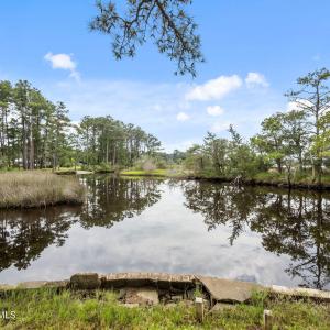 14-web-or-mls-P7312740