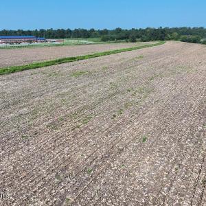 DJI_20250809023124_0596_D