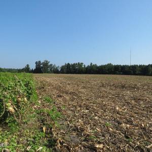 IMG_8293