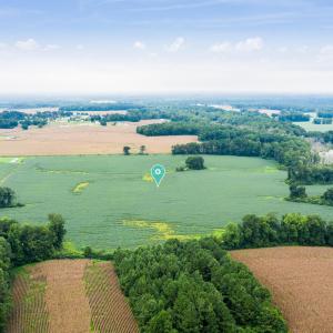 DJI_0646p