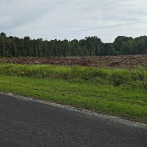 Sikes Rd 4