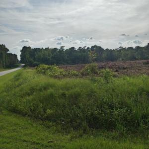Sikes Rd 2