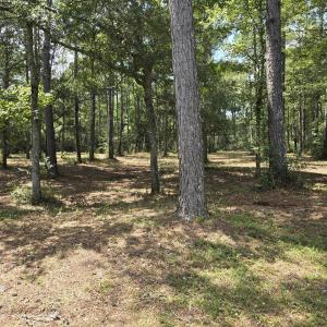 SEAGO 3.36 acres