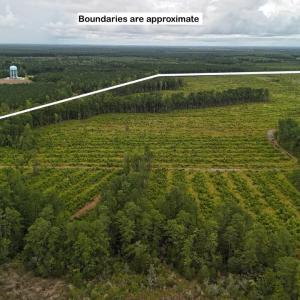 DJI_20250812134213_0445_D Large