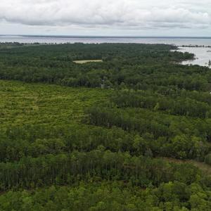 DJI_20250812134016_0437_D Large