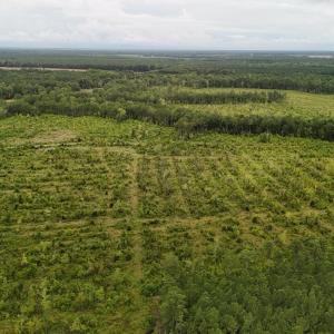 DJI_20250812134429_0448_D Large