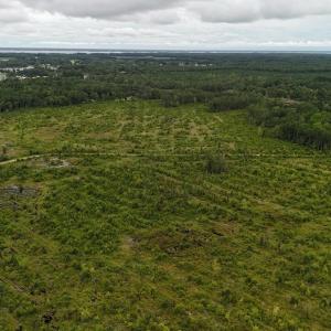 DJI_20250812134423_0447_D Large