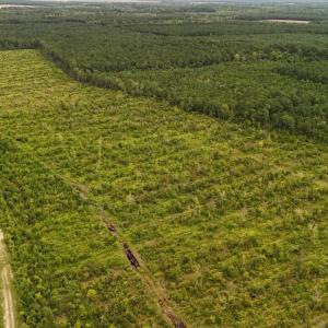 DJI_20250812133856_0431_D Large