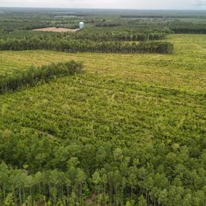 DJI_20250812133847_0429_D Large