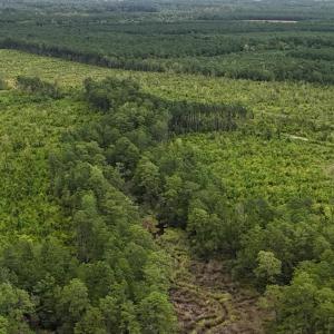 DJI_20250812134134_0442_D Large