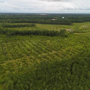 DJI_20250812134441_0450_D Large