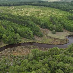 DJI_20250812134108_0439_D Large