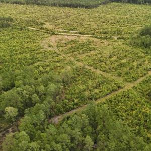 DJI_20250812134048_0438_D Large