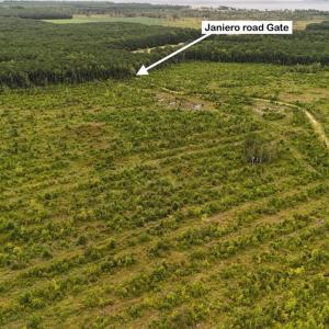 DJI_20250812133905_0433_D Large