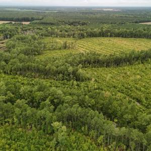 DJI_20250812133841_0428_D Large