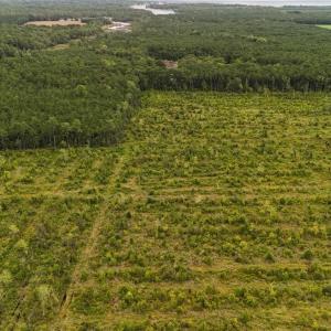 DJI_20250812133900_0432_D Large