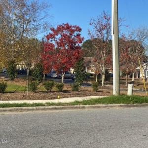 20231130172537076569000000-o