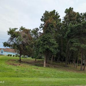 PXL_20250802_210200445