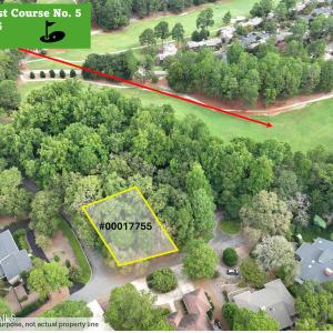 TBD Turtle Pt Drone-5