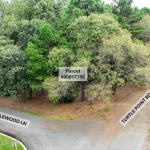 TBD Turtle Pt Drone-1