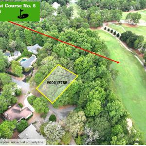 TBD Turtle Pt Drone-6