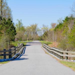 2a Bridge on Osprey Dr.