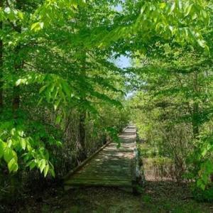 Riversound Walk