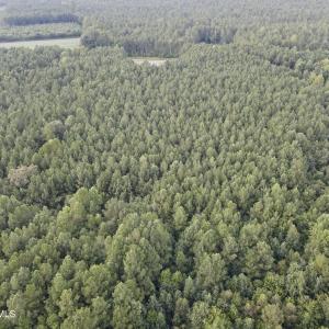 Back View looking towards road