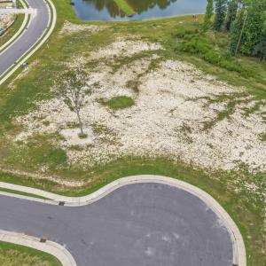 18-DJI_20250806005249_0054_D