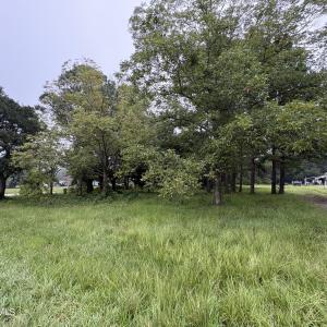 917 Bricklanding Rd. SW