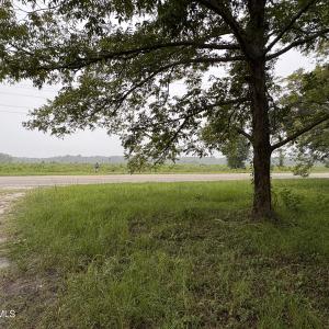 View from back of lot