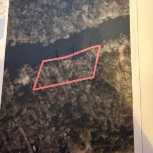 GIS Map