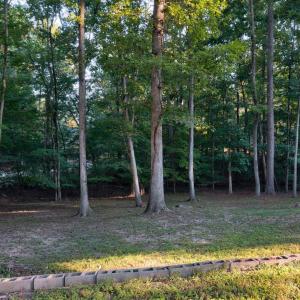 019-122NatchezDrive-Louisburg-NC-27549-S