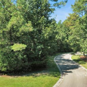 707SonataDriveDrone-1