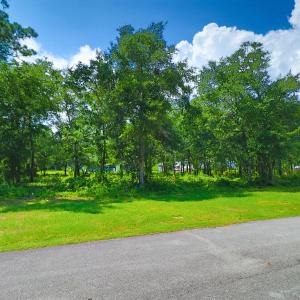 Vacant lot in Spooner's Creek