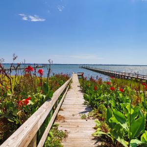 Spooner's Creek kayak launch