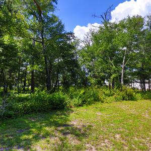Vacant lot in Spooner's Creek