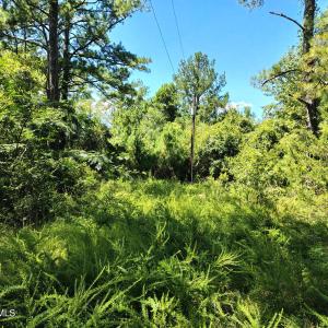 498 Poyners Rd.