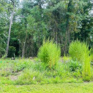6075 Ocean Isle Palms Way SW