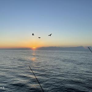 Fishing as the sun rises