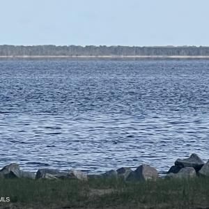 IMG_5768