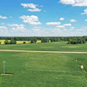 DJI_0590