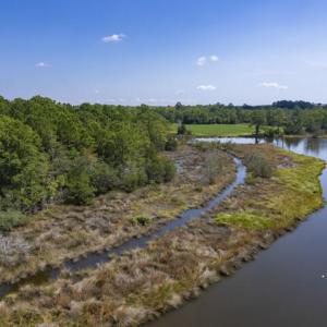 11.4 Acres on Smith Creek, Vandemere