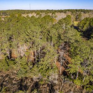 No Neighbors In Sight