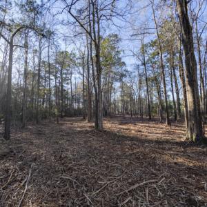 Over 11 Acres