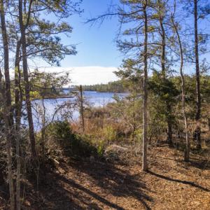 View of Smith Creek
