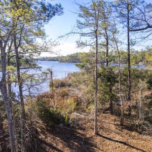 View of Smith Creek