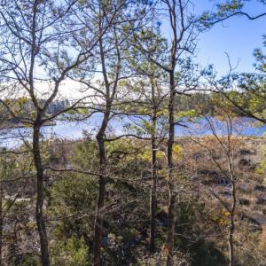 View of Smith Creek