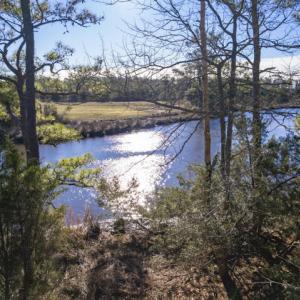 View of Smith Creek